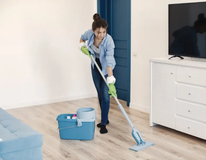 Femme de ménage Fixin